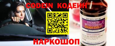 гашик Камышлов