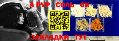 гашик Камышлов