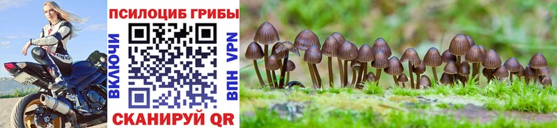 Псилоцибиновые грибы Psilocybe  наркота  Лянтор 